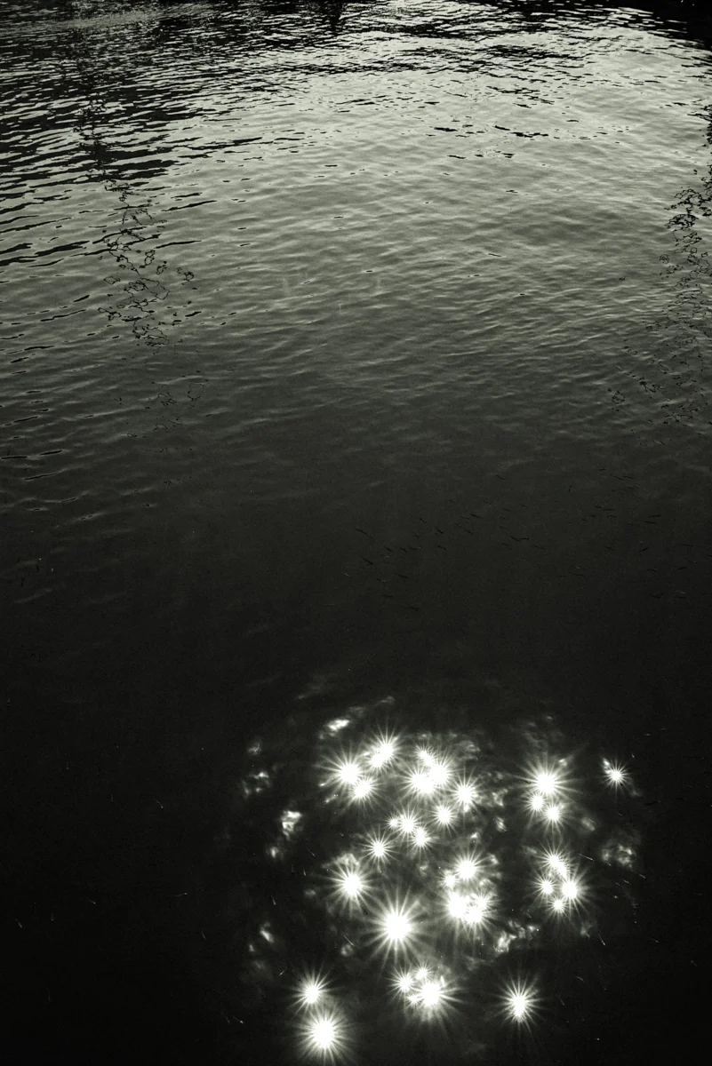 <p>&copy; Pascale Le Lann</p>