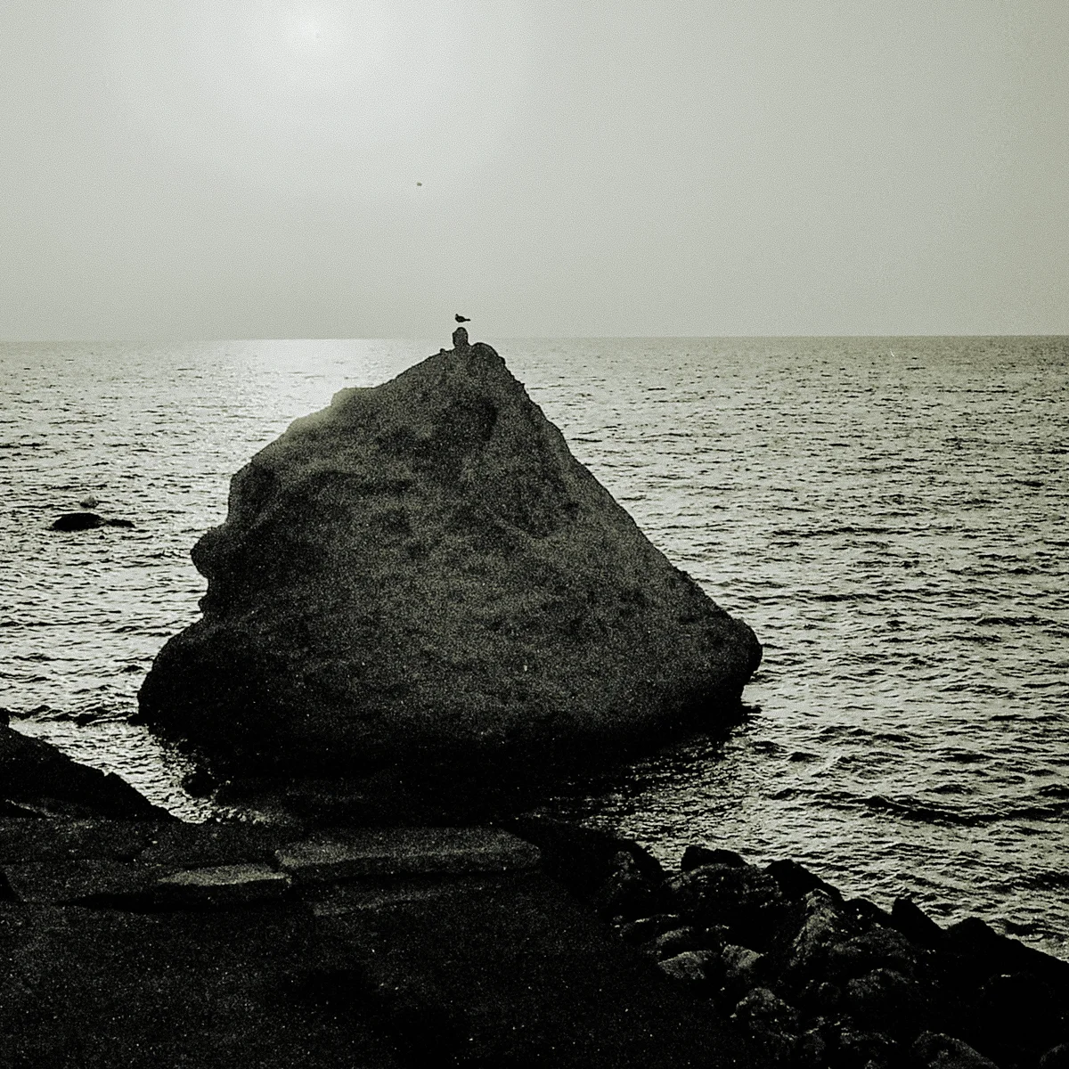 <p>&copy; Pascale Le Lann</p>