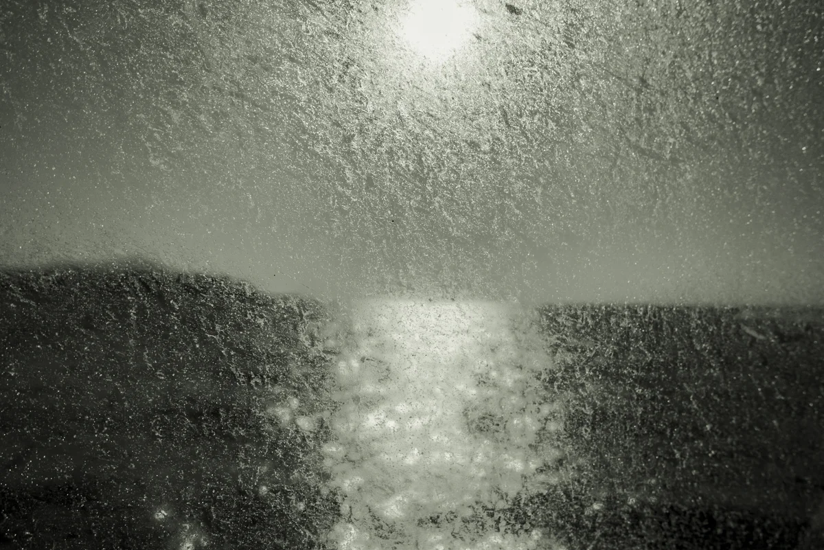 <p>&copy; Pascale Le Lann</p>