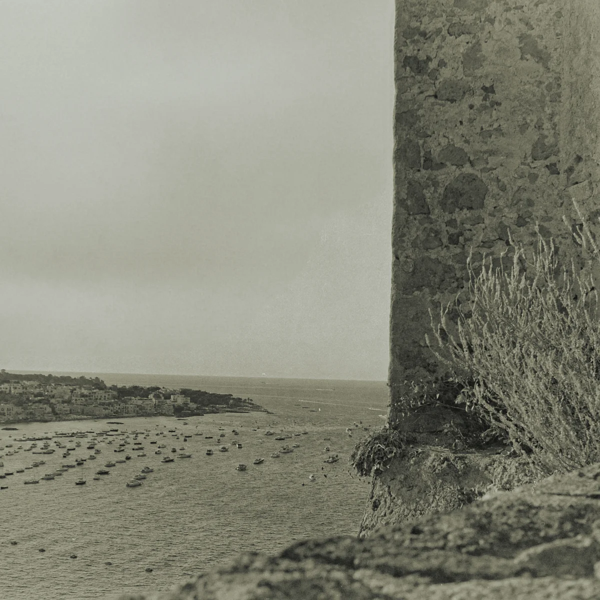 <p>&copy; Pascale Le Lann</p>