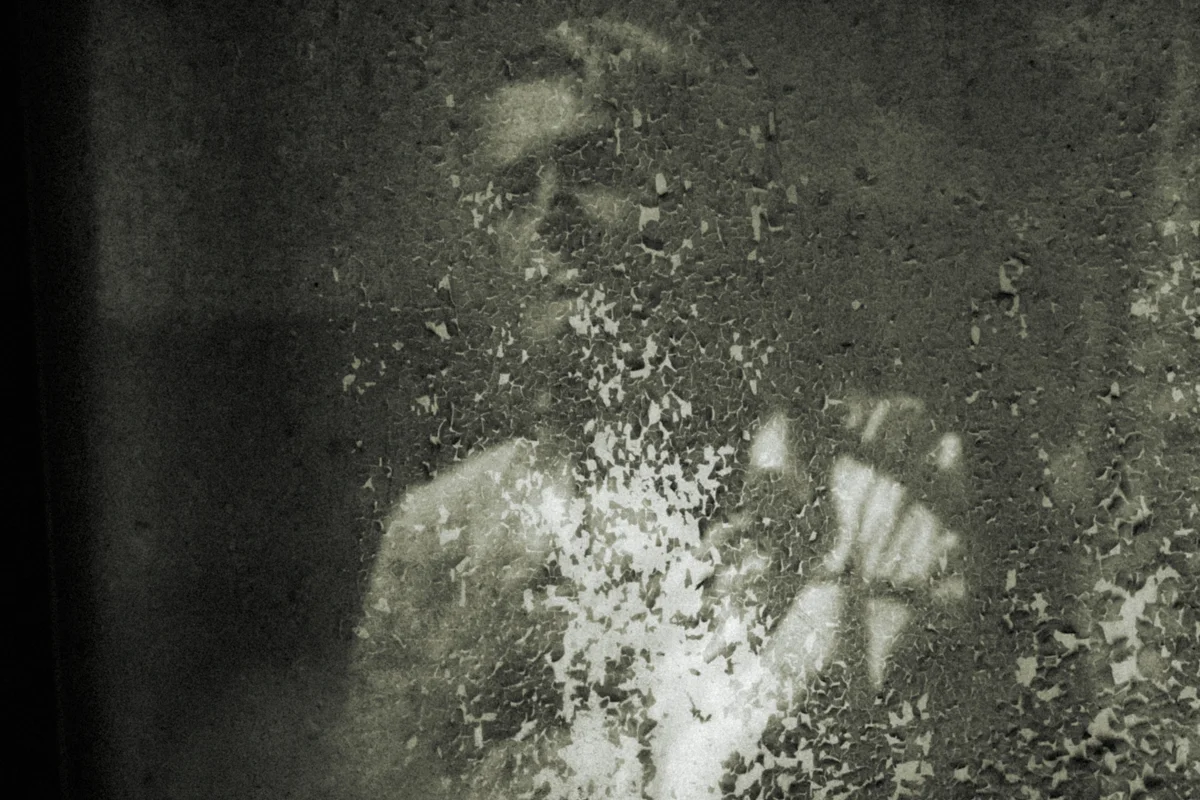 <p>&copy; Pascale Le Lann</p>