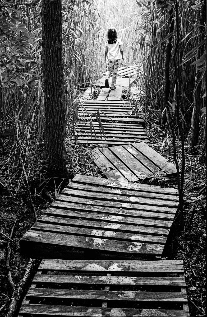 Crooked Wooden Path<p>© Prescott Lassman</p>