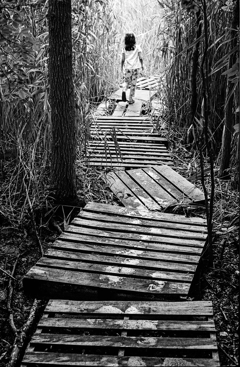 Crooked Wooden Path<p>© Prescott Lassman</p>