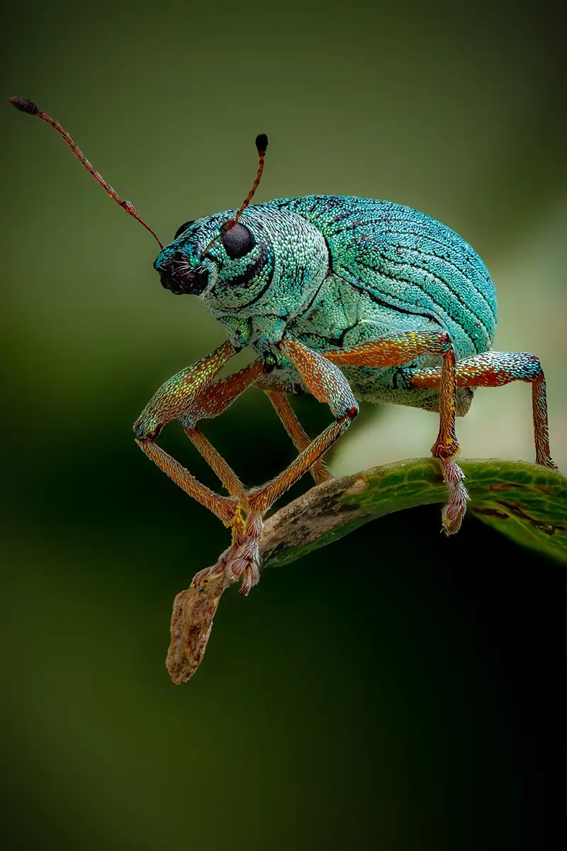 Perched<p>© Rory J. Lewis</p>