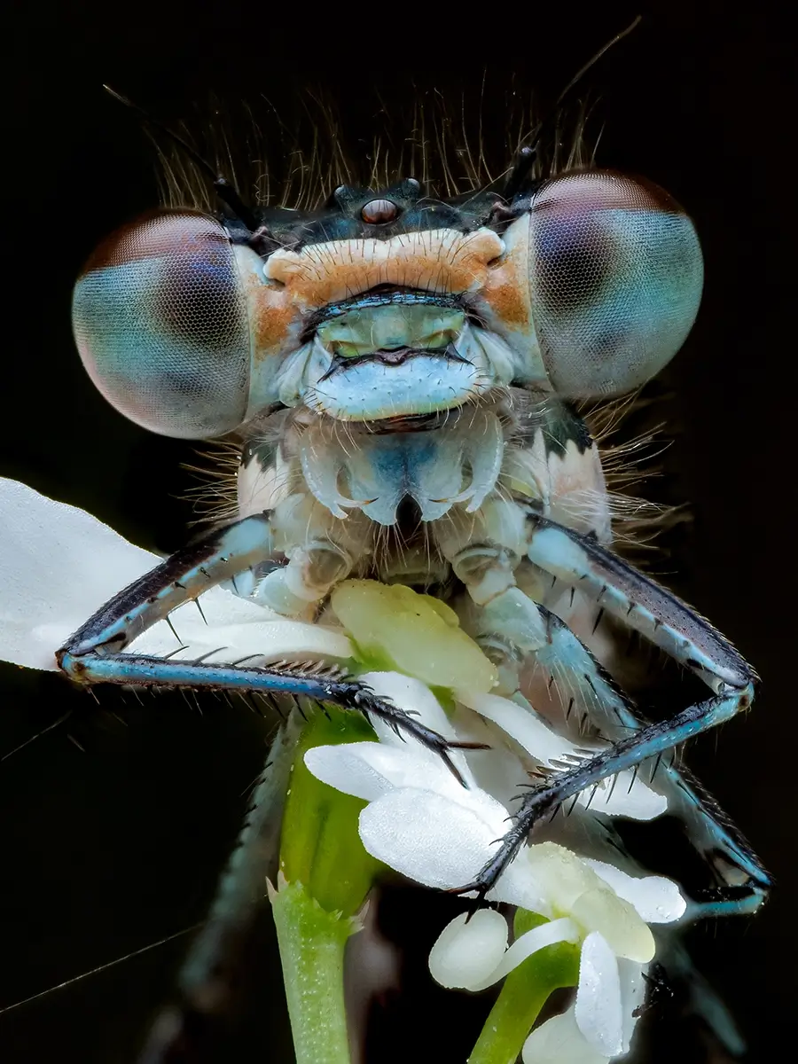 Smile!<p>© Rory J. Lewis</p>