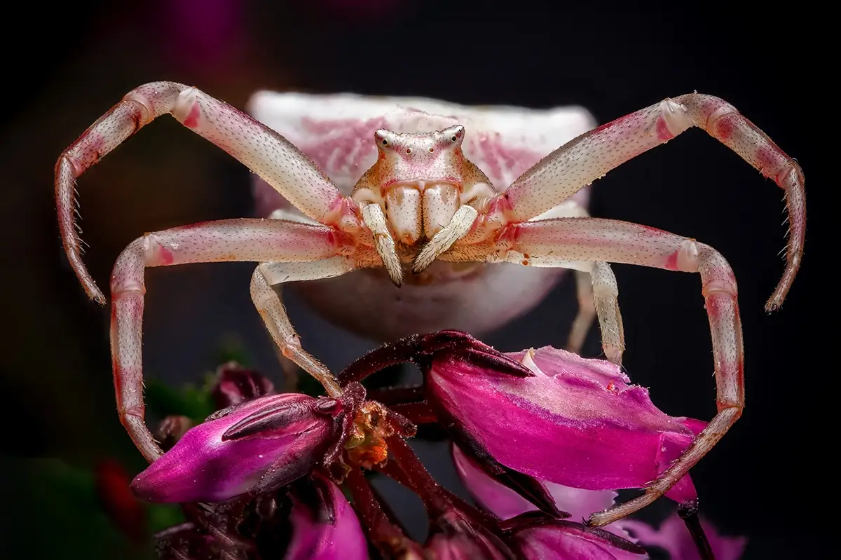 Free Hugs!<p>© Rory J. Lewis</p>