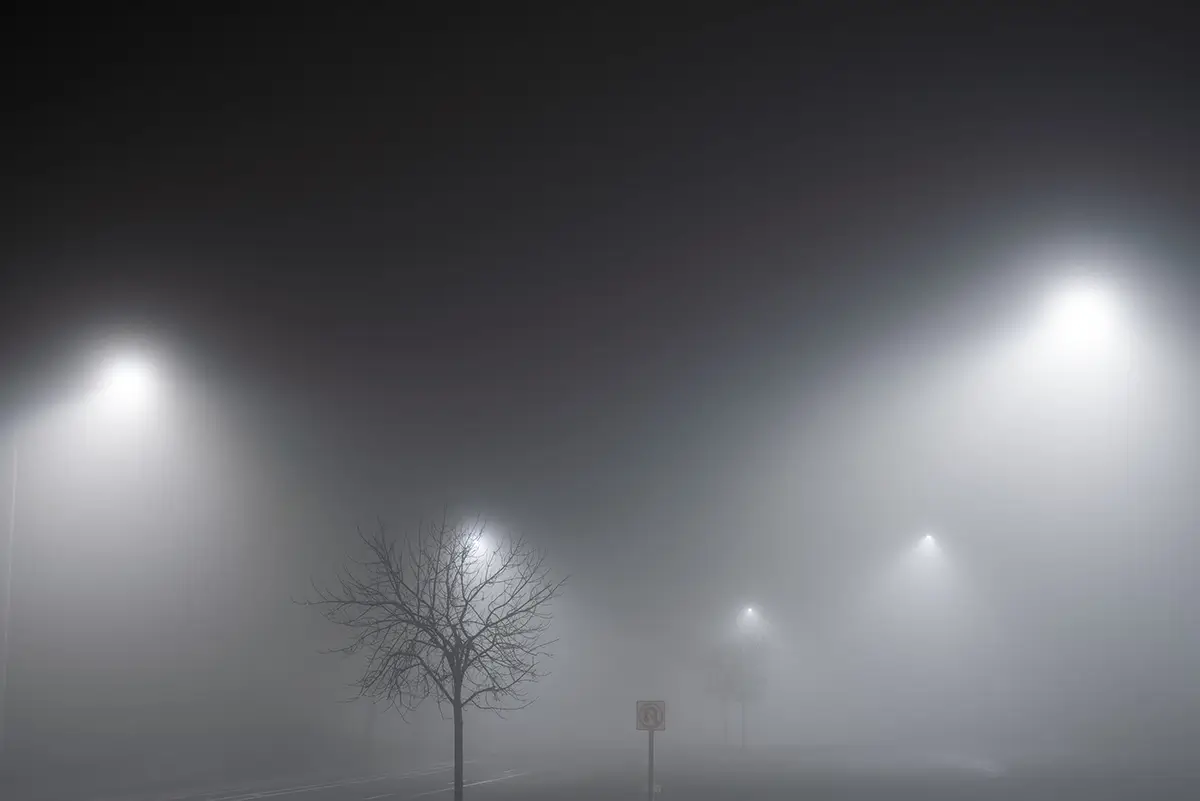 Silence in B-Flat I #20<p>© Shay Lari-Hosain</p>