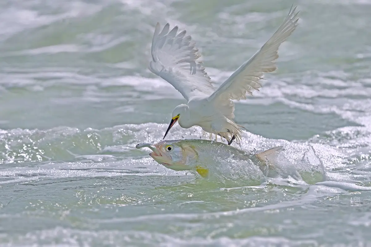 <p>&copy; Xiaoping Lin</p>