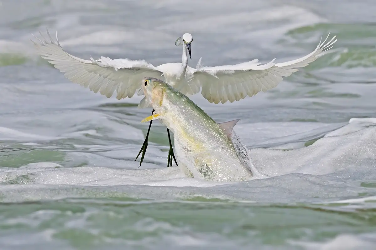 <p>&copy; Xiaoping Lin</p>