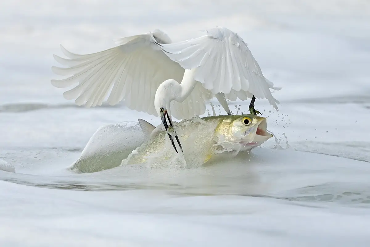 <p>&copy; Xiaoping Lin</p>