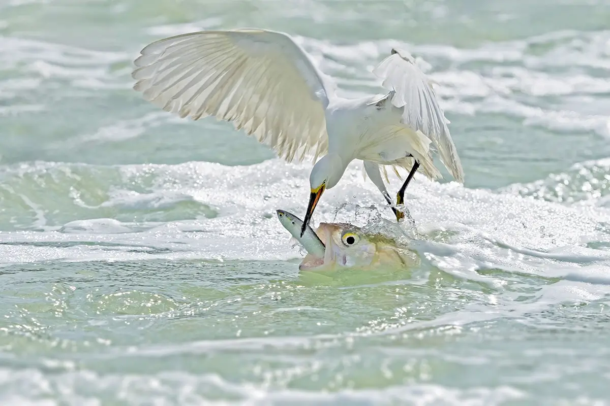 <p>&copy; Xiaoping Lin</p>