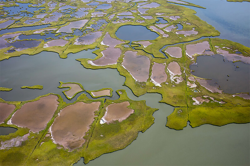 Wetland Marsh Ponds, Berlin, Maryland 2018<p>© Alex MacLean</p>