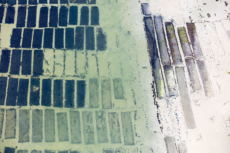 Living Oyster Beds, Cape Charles, Virginia 2018<p>© Alex MacLean</p>