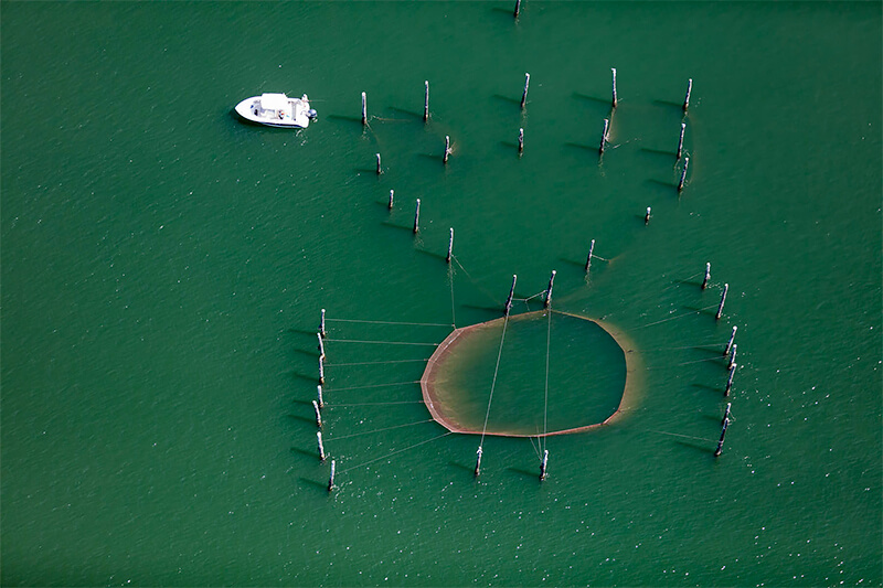 Chesapeake Fish Wier, Cape Charles, Virginia 2018<p>© Alex MacLean</p>