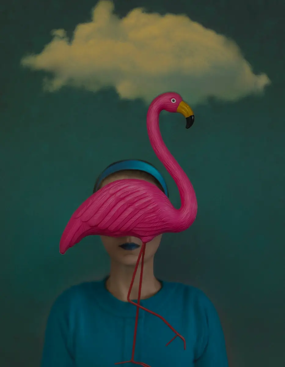 Flamingo<p>© Anna Matysiak</p>