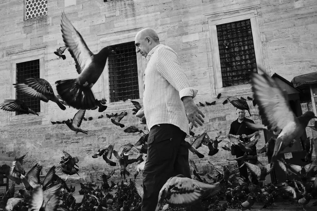 <p>&copy; Bartosz Michalik</p>