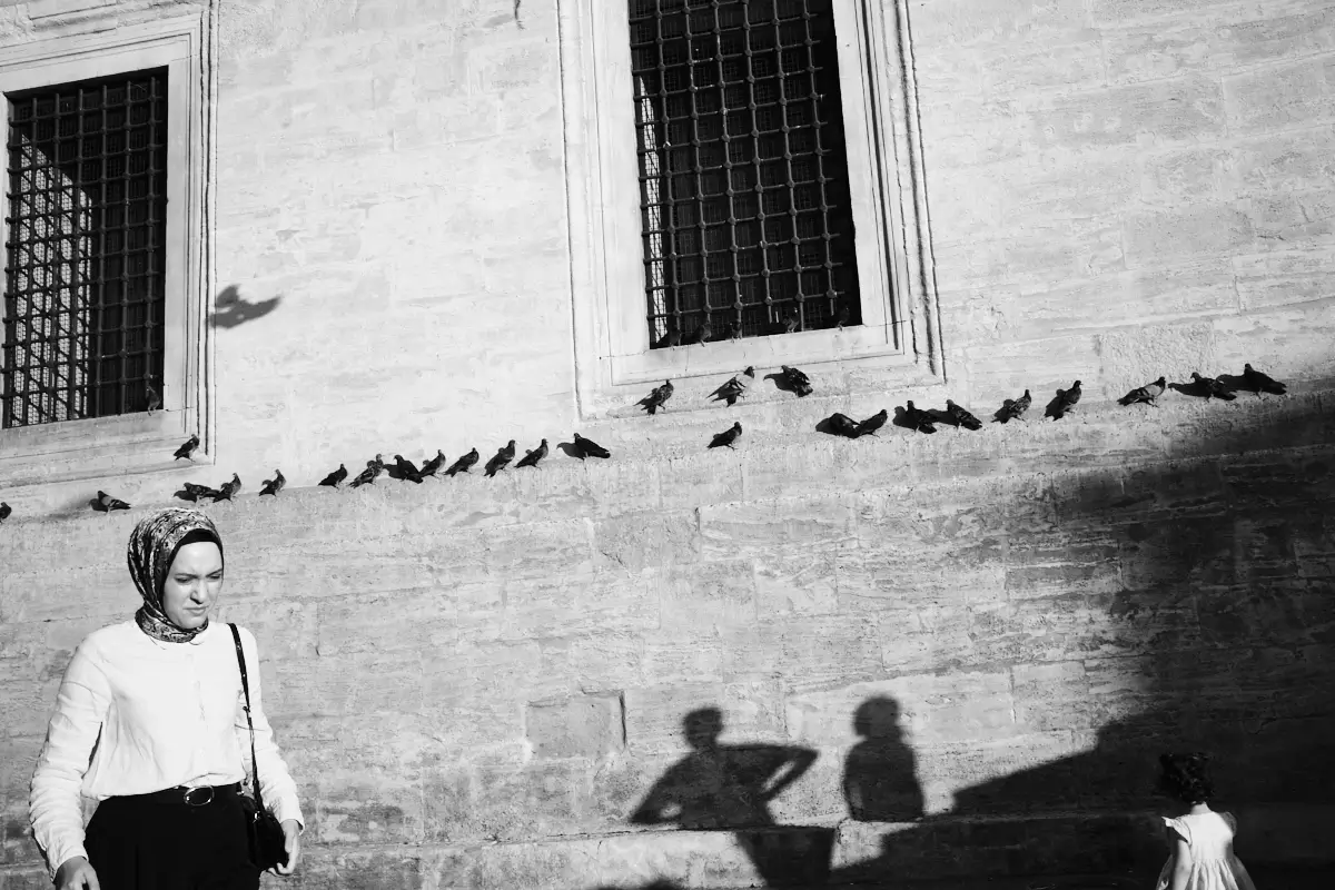 <p>&copy; Bartosz Michalik</p>