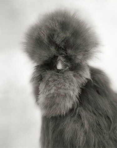 <p>© Beth Moon</p>