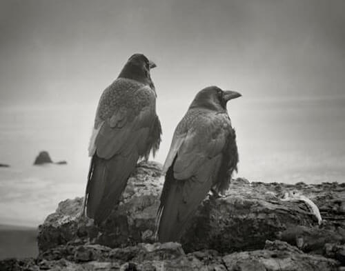 <p>© Beth Moon</p>