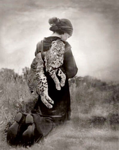 JOURNEY OF THE BOBCAT<p>© Beth Moon</p>