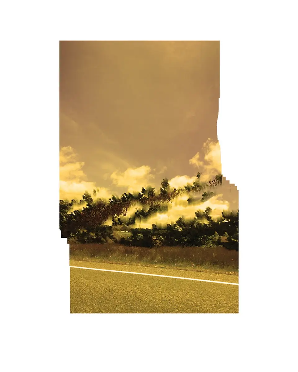Highway One - Trees and dreaming<p>© B McCormick</p>