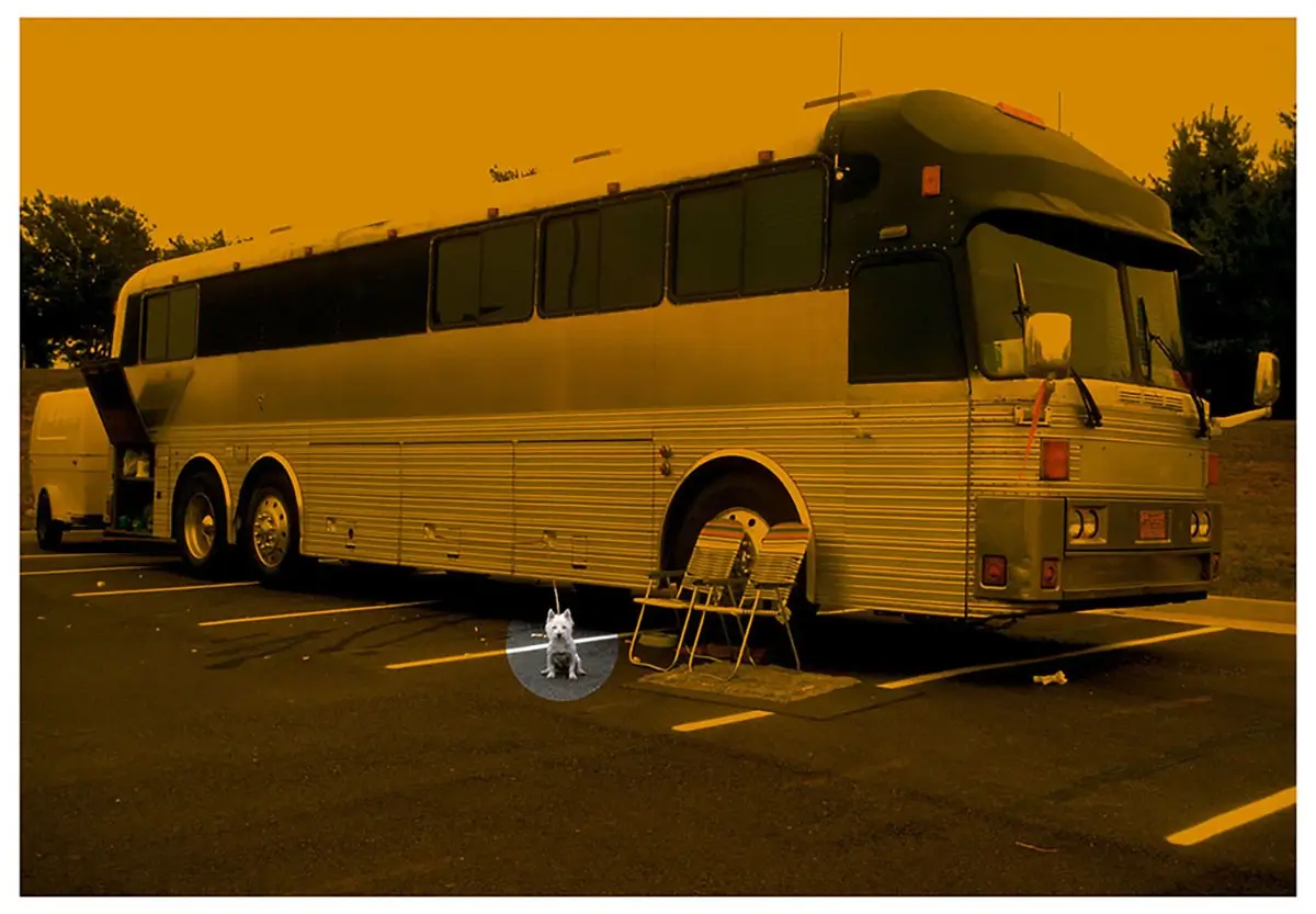 Poof Gone - Dog bus<p>© B McCormick</p>