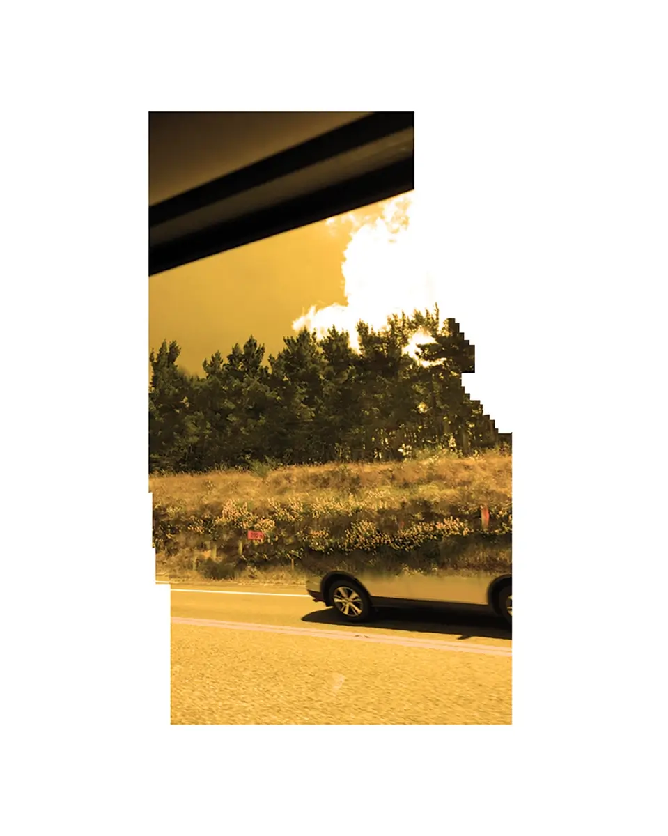 Highway One - Looking for wine<p>© B McCormick</p>