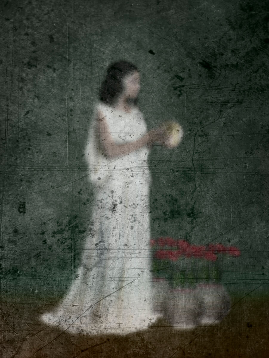 A Vanishing<p>© Calli McCaw</p>