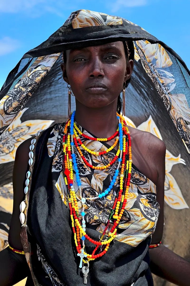 <p>© Carole Mills Noronha</p>