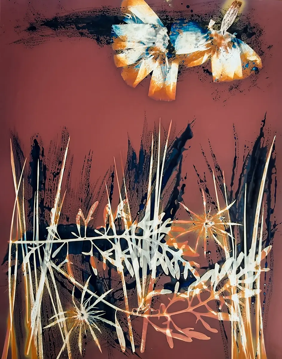 Tule<p>© Carolyn Moore</p>