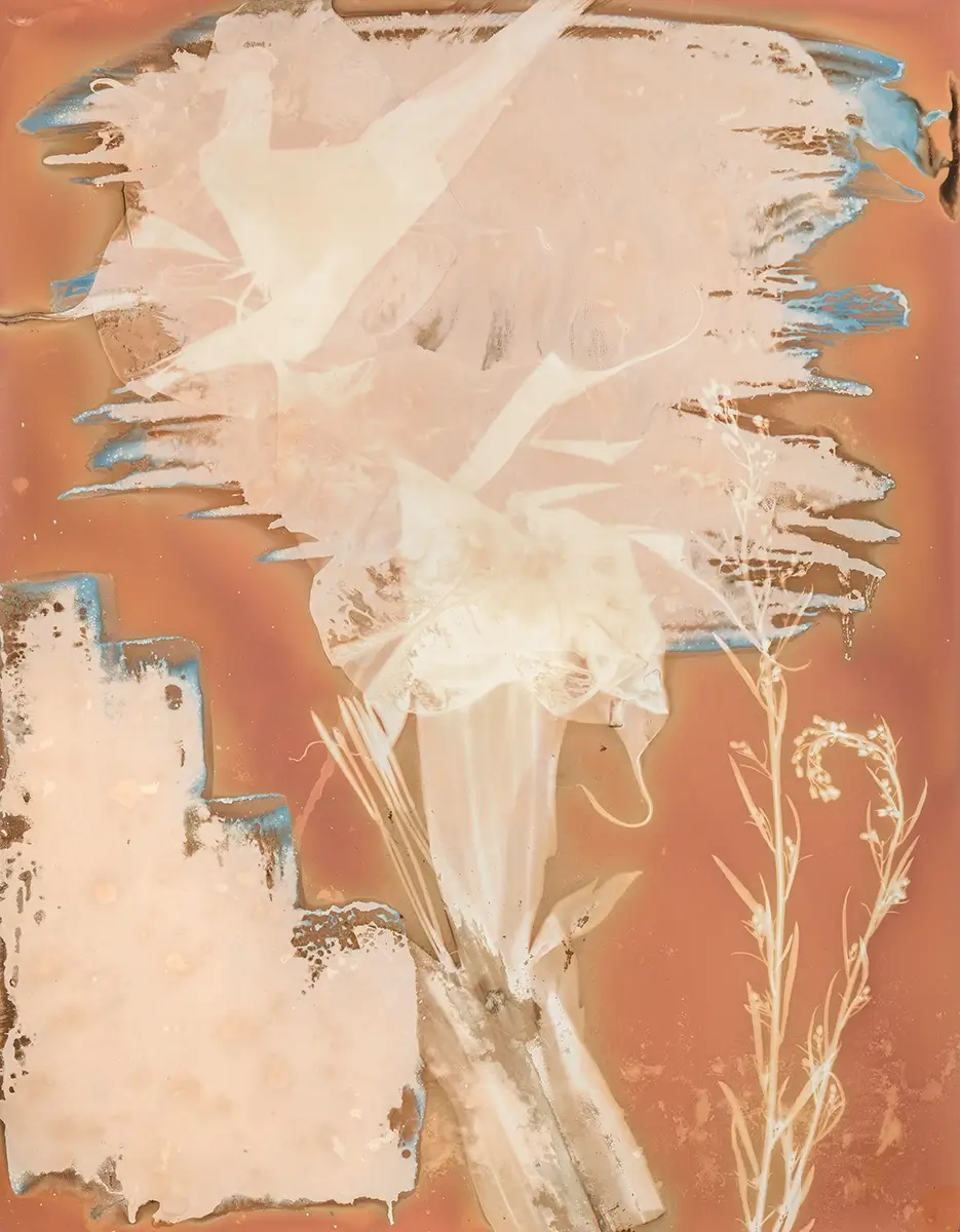 Sulis & Minerva III<p>© Carolyn Moore</p>