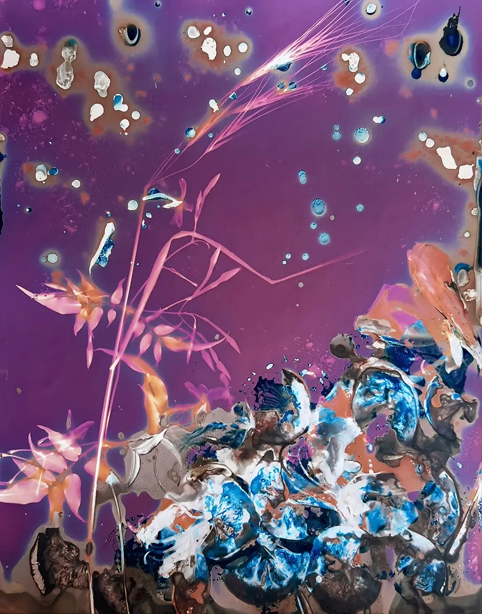 Submerged<p>© Carolyn Moore</p>