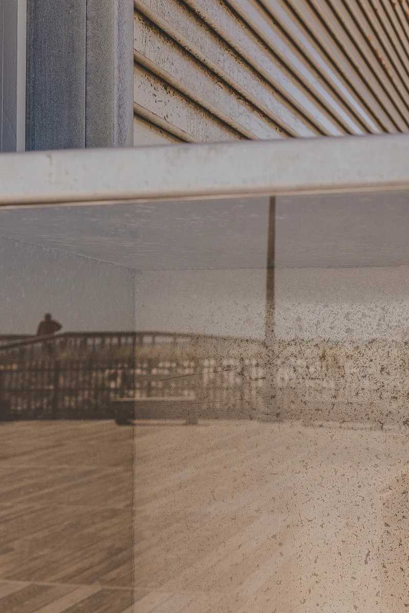 Life in Reflection<p>© Cassandra Margotti</p>