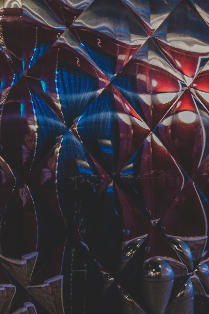 Life in Reflection<p>© Cassandra Margotti</p>