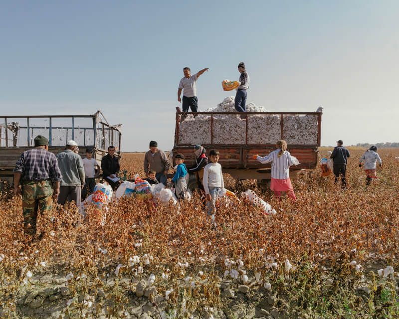 A New Silk Road: Turkistan, Kazakhstan, workers harvesting cotton<p>© Davide Monteleone</p>
