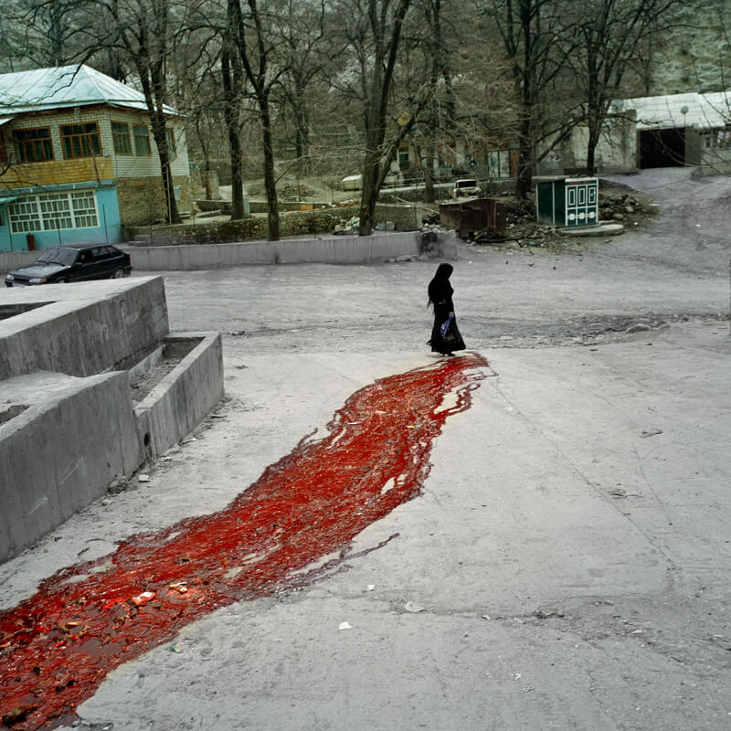Red Thistle: Republic of Dagestan, Russia 2009<p>© Davide Monteleone</p>