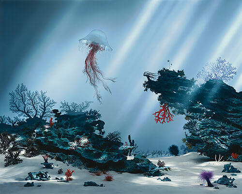 Corals 2004<p>© Didier Massard</p>