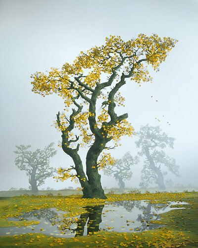 Autumn Tree 2001<p>© Didier Massard</p>
