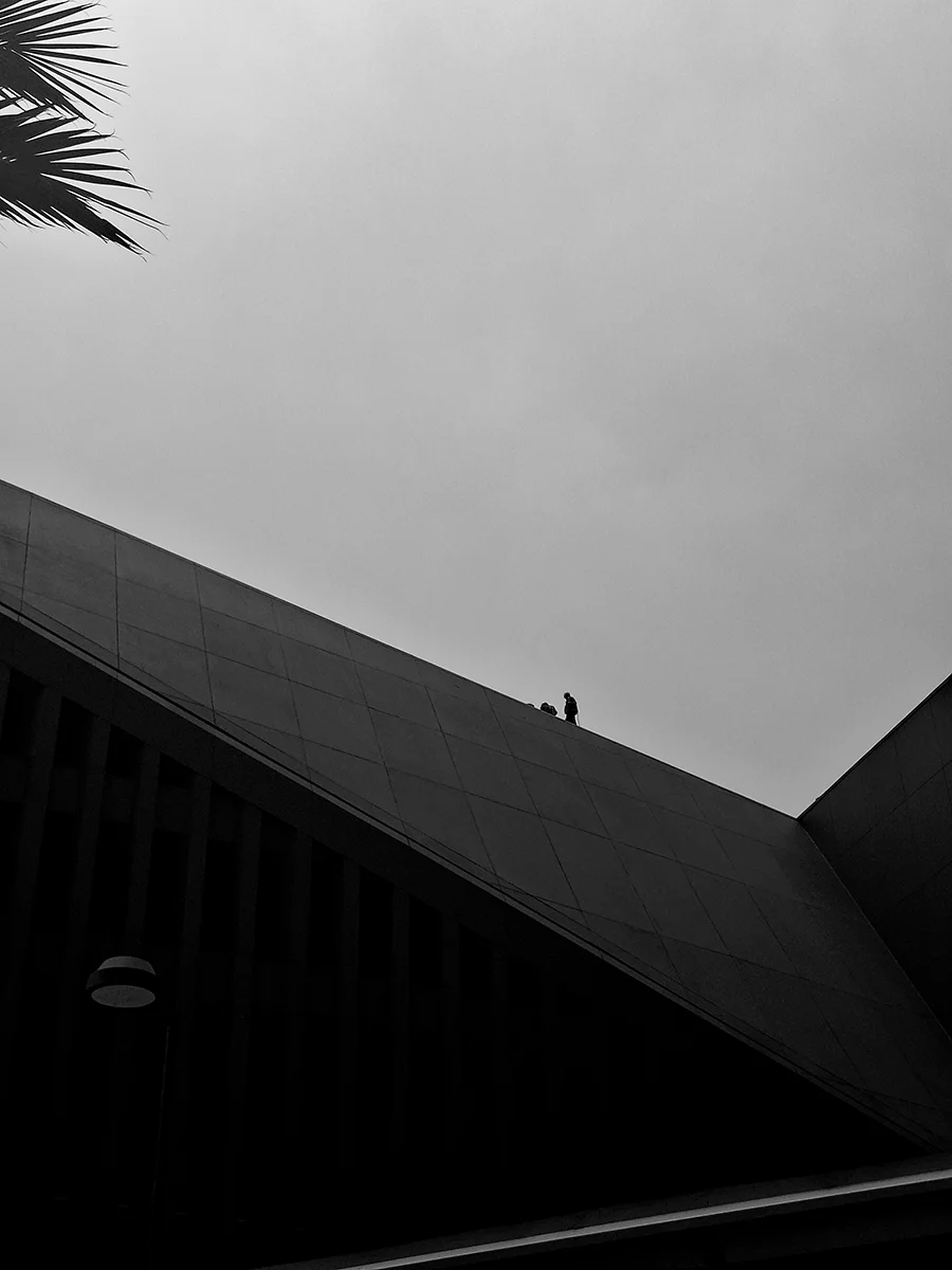 <p>&copy; Diego Cesar Monroy Chaparro</p>