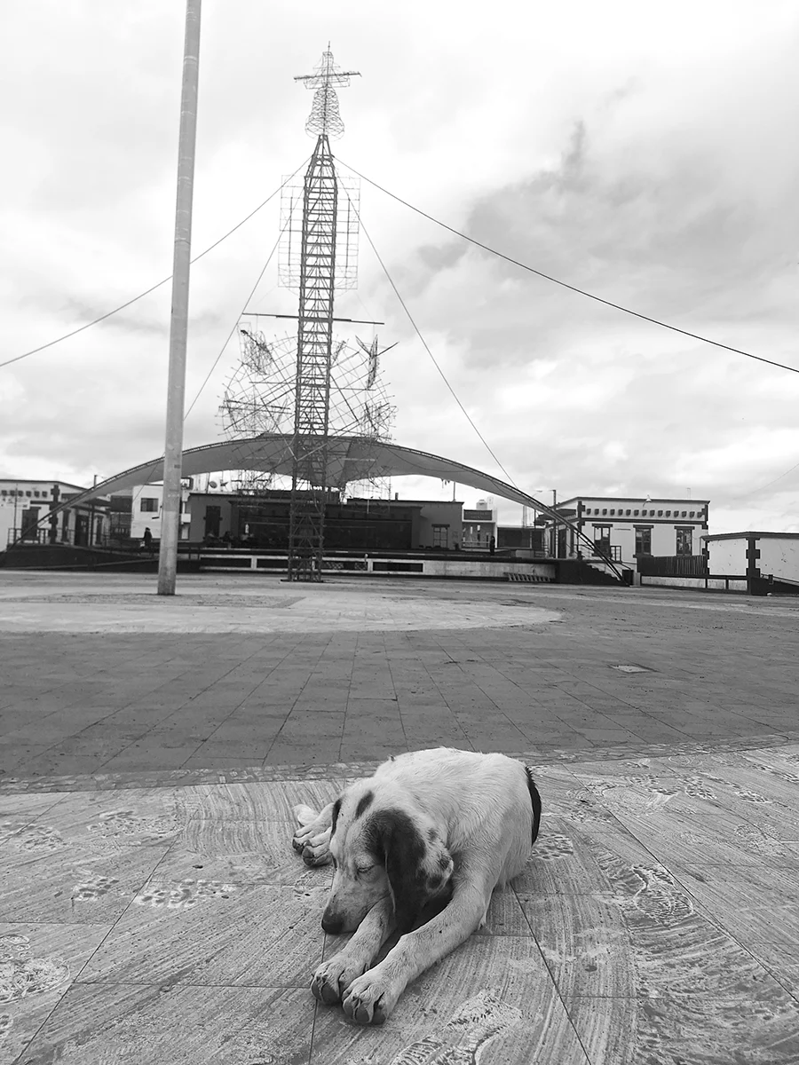 <p>&copy; Diego Cesar Monroy Chaparro</p>