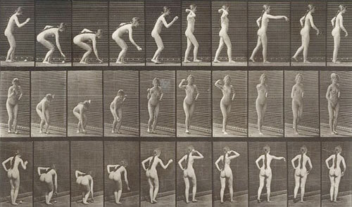 <p>© Eadweard Muybridge</p>