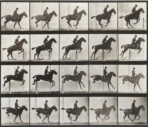 Jumping, black horse, 1887<p>© Eadweard Muybridge</p>