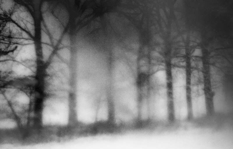 <p>© Elisa Migda</p>