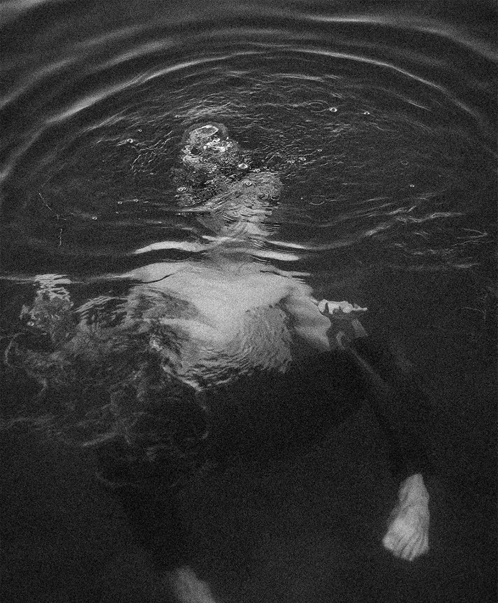 <p>© Evan Murphy</p>