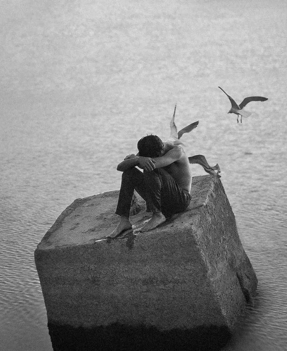 <p>© Evan Murphy</p>
