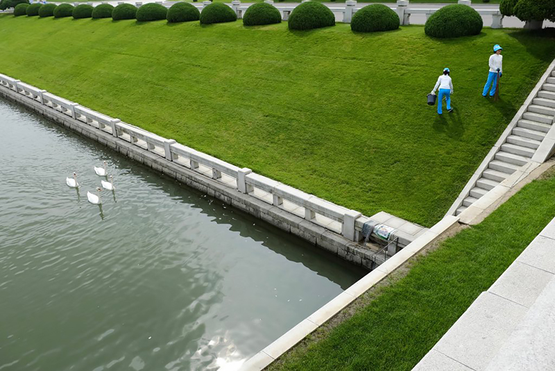 Six Swans (Pyongyang, North Korea), 2014<p>© Fabian Muir</p>