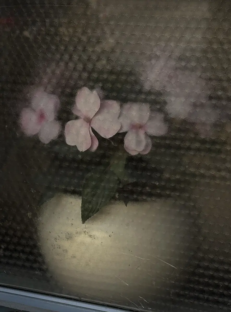 <p>&copy; Fabiana Mc Mullan</p>