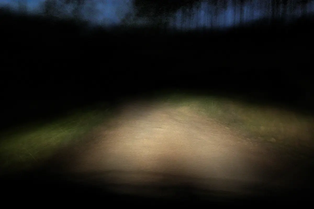 <p>&copy; Fabiana Mc Mullan</p>