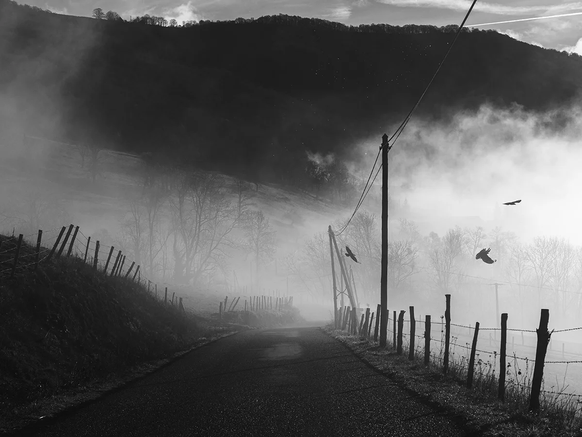 Sur la route (On the road)<p>©  Mam'AT</p>