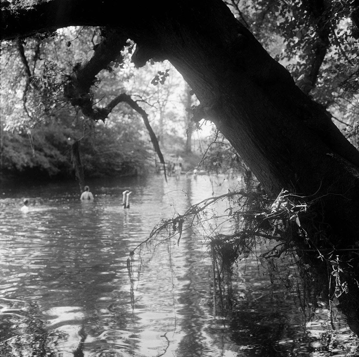 Feet above water - from RIVERLAND<p>© Marjolein Martinot</p>